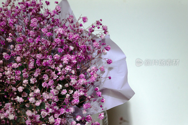 a fragment of a bouquet of lilac dry flowers on a light background, copy space
